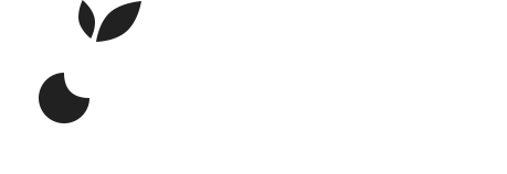 OptiCO Elementor Demo03
