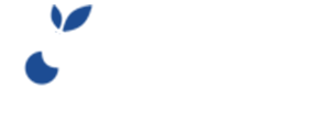 OptiCO Elementor Demo04